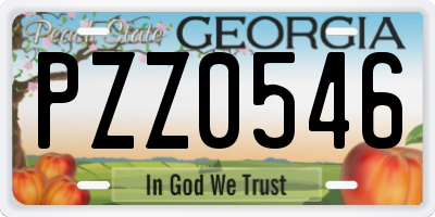 GA license plate PZZ0546