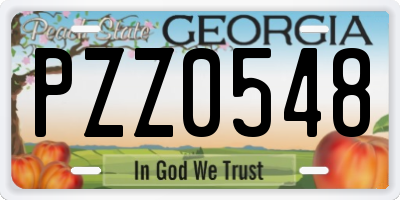 GA license plate PZZ0548
