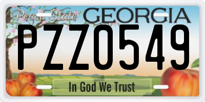 GA license plate PZZ0549