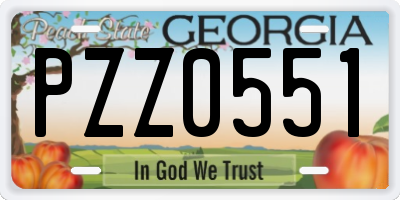 GA license plate PZZ0551