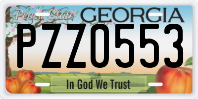 GA license plate PZZ0553