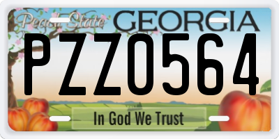GA license plate PZZ0564