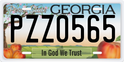 GA license plate PZZ0565