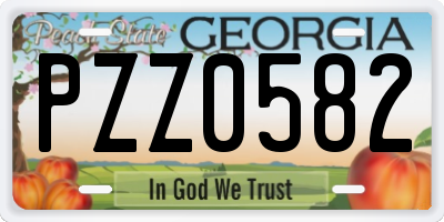 GA license plate PZZ0582