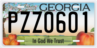 GA license plate PZZ0601