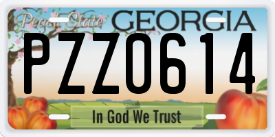 GA license plate PZZ0614