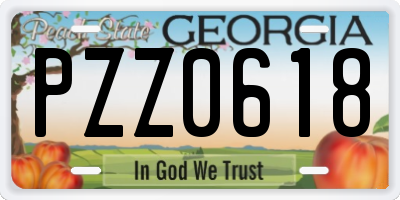 GA license plate PZZ0618
