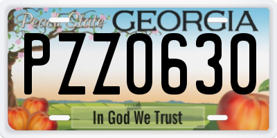 GA license plate PZZ0630