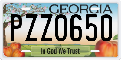 GA license plate PZZ0650