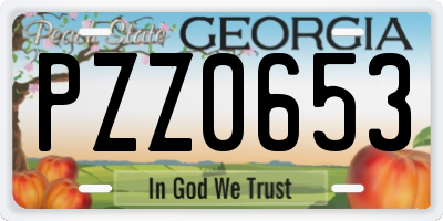 GA license plate PZZ0653