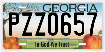 GA license plate PZZ0657