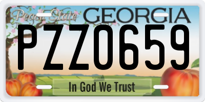 GA license plate PZZ0659