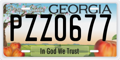 GA license plate PZZ0677