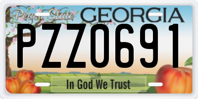 GA license plate PZZ0691