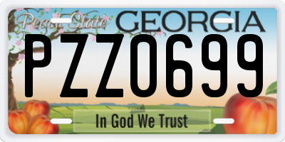 GA license plate PZZ0699