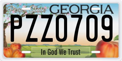 GA license plate PZZ0709