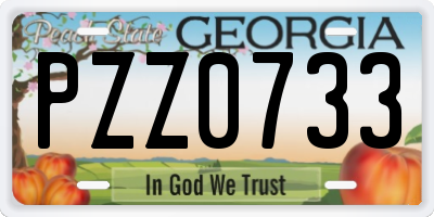 GA license plate PZZ0733