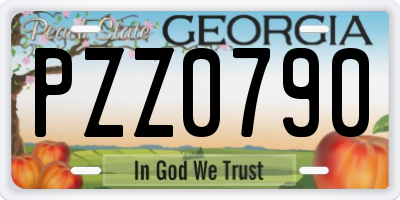 GA license plate PZZ0790