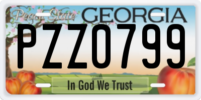 GA license plate PZZ0799
