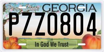 GA license plate PZZ0804