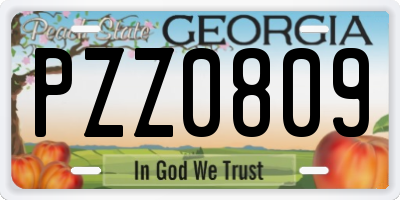 GA license plate PZZ0809
