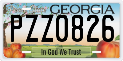 GA license plate PZZ0826