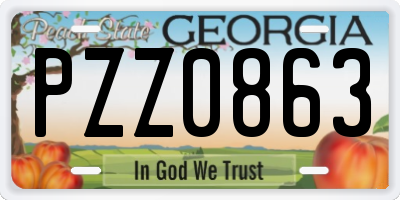 GA license plate PZZ0863