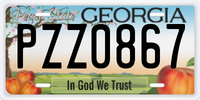 GA license plate PZZ0867
