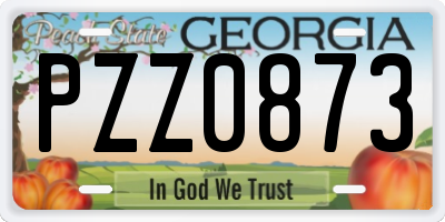 GA license plate PZZ0873