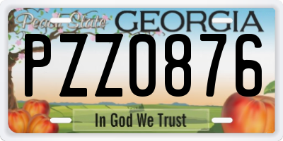 GA license plate PZZ0876