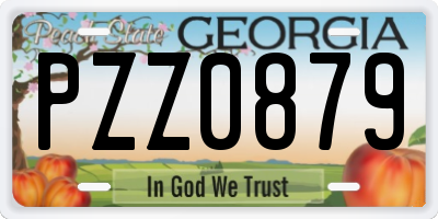 GA license plate PZZ0879