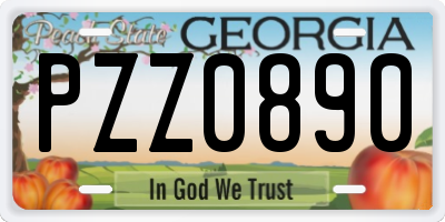 GA license plate PZZ0890