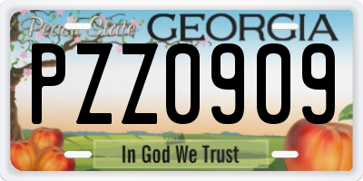 GA license plate PZZ0909