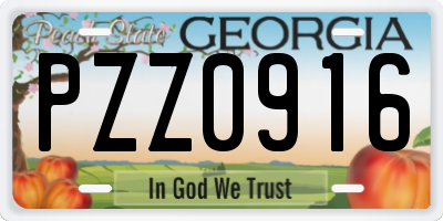 GA license plate PZZ0916