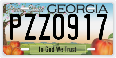 GA license plate PZZ0917