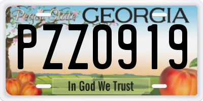 GA license plate PZZ0919
