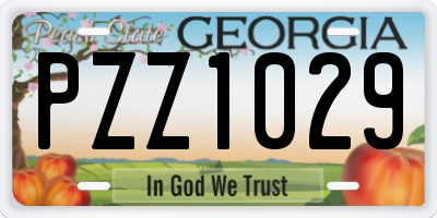 GA license plate PZZ1029