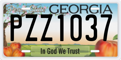 GA license plate PZZ1037