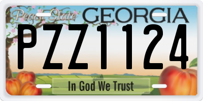 GA license plate PZZ1124
