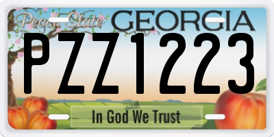 GA license plate PZZ1223