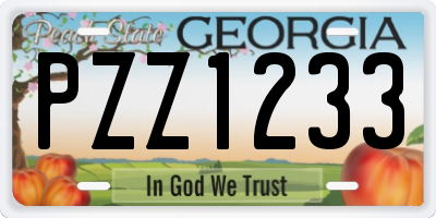 GA license plate PZZ1233
