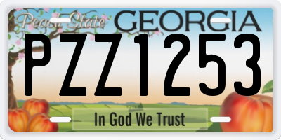 GA license plate PZZ1253