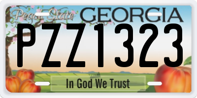 GA license plate PZZ1323