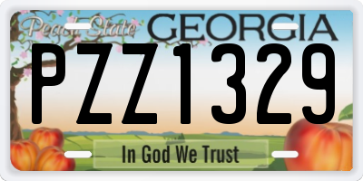 GA license plate PZZ1329