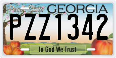 GA license plate PZZ1342