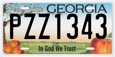 GA license plate PZZ1343