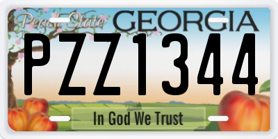 GA license plate PZZ1344