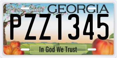 GA license plate PZZ1345