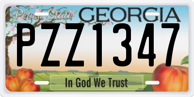 GA license plate PZZ1347