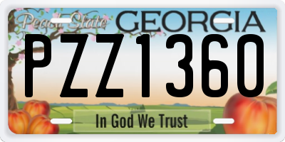 GA license plate PZZ1360